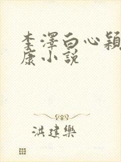李泽白心颖陆伟康小说封面