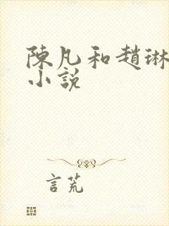 陈凡和赵琳琳的小说