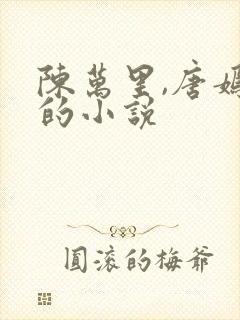 陈万里,唐嫣然的小说封面