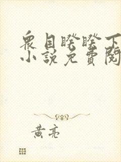 众目睽睽下的事小说免费阅读笔趣阁封面