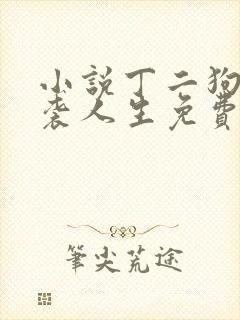 小说丁二狗的逆袭人生免费阅读