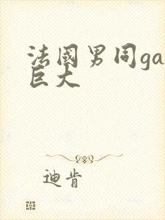 法国男同gay巨大