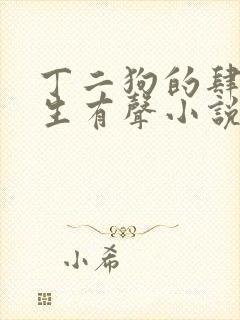 丁二狗的肆意人生有声小说免费