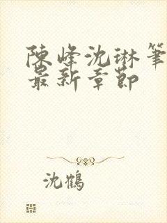 陈峰沈琳笔趣阁最新章节封面