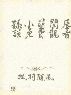 孙小萌闫辰的小说免费观看封面