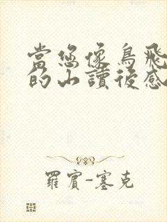 当您像鸟飞往你的山读后感