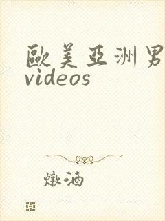 欧美亚洲男同志videos