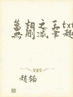 万相之王txt无删减笔趣阁