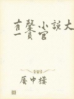 有声小说大明第一贪官