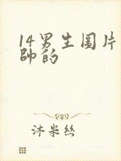 14男生图片帅帅的