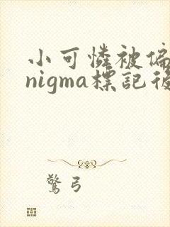 小可怜被偏执enigma标记后免费阅读笔趣阁