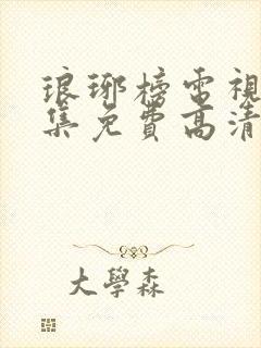 琅琊榜电视剧全集免费高清封面