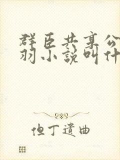 群臣共享公主银羽小说叫什么