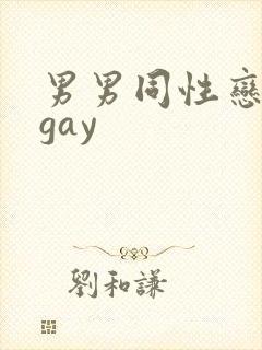 男男同性恋视频gay