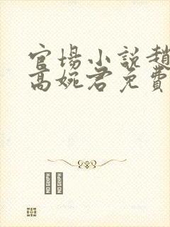 官场小说赵心媚高婉君免费阅读