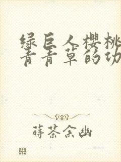 绿巨人樱桃荔枝青青草的功效