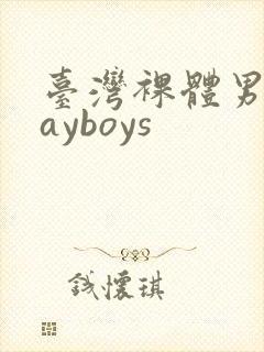 台湾裸体男模gayboys