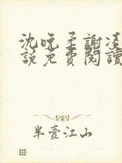 沈晚柔谢凌安小说免费阅读最新章节封面