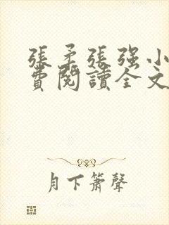 张柔张强小说免费阅读全文小说封面