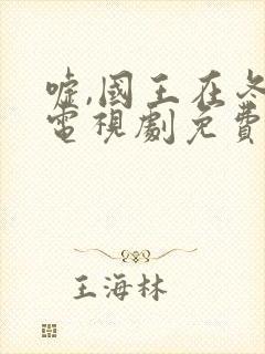 嘘,国王在冬眠电视剧免费无字封面