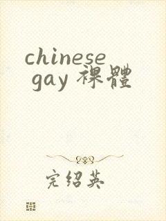 chinese gay 裸体封面