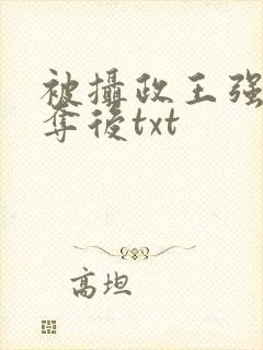 被摄政王强取豪夺后txt