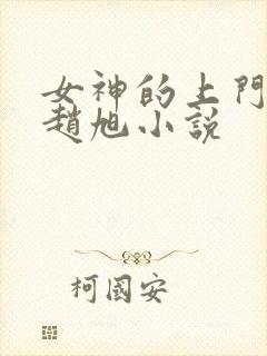 女神的上门豪婿赵旭小说