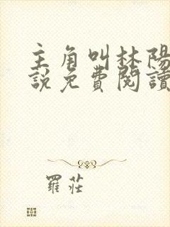 主角叫林阳的小说免费阅读