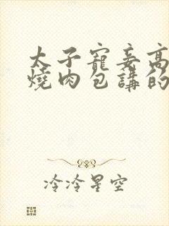 太子宠妾高肉红烧肉包讲的什么封面