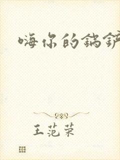 嗨你的锅铲封面