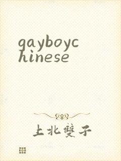 gayboychinese