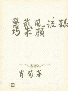 医武风流孙哲叶巧朱颜