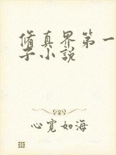 修真界第一病秧子小说封面