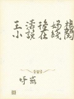 王涛后妈杨美琳小说在线阅读封面