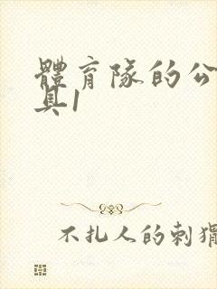 体育队的公用玩具1