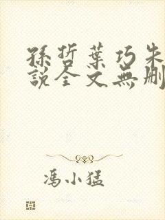 孙哲叶巧朱颜小说全文无删减免费阅读