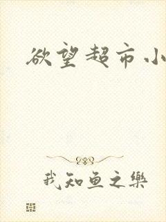 欲望超市小说