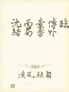 沈南意傅临洲大结局番外