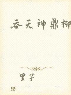 吞天神鼎柳无邪