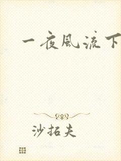 一夜风流下载