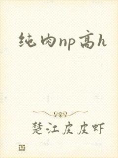 纯肉np高h