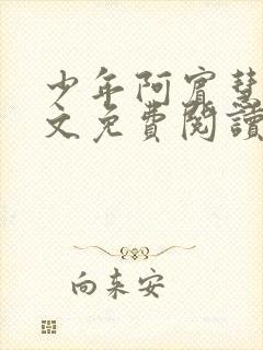 少年阿宾慧钰全文免费阅读封面