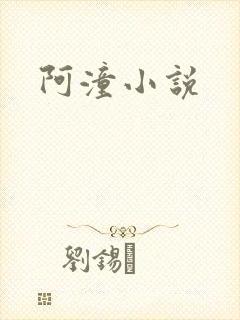 阿潼小说封面