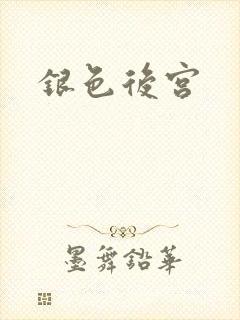 银色后宫封面