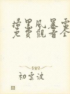 扫黑风暴电视剧免费观看全集完整版