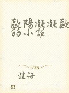 欧阳凝凝欧阳雷的小说