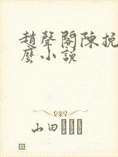 赵声阁陈挽是什么小说