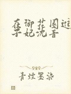 在御花园进入太子妃沈音