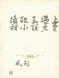 摄政王遇上方知甜小说免费阅读