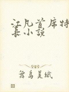 江凡首席特异局长小说封面